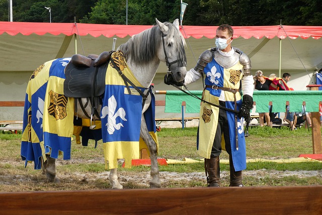 纵观足球历 纵观足球历