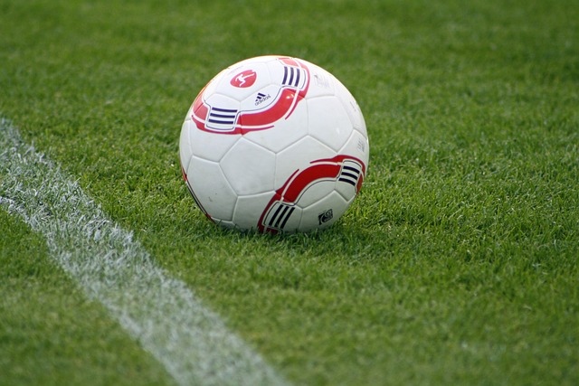 国的一场婚 国的一场婚