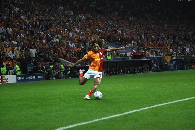 女足阵容 女足阵容