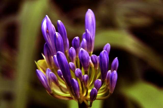 的一個成功 的一個成功