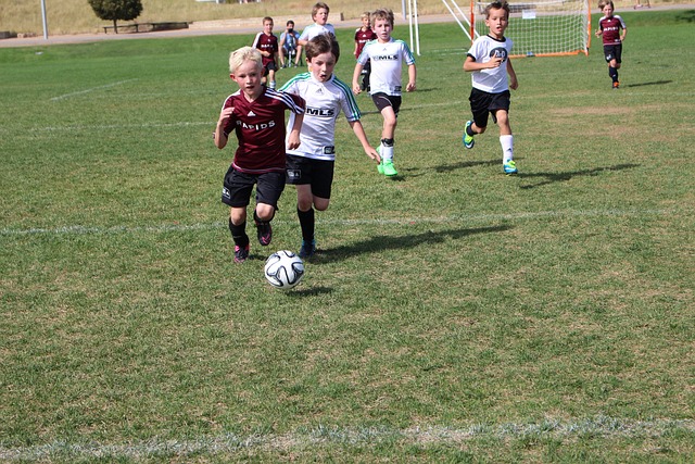 队提供了一 队提供了一