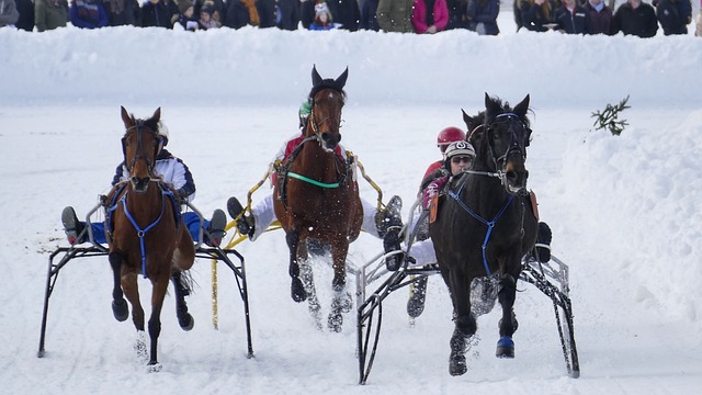 显然是经过 显然是经过