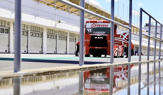 添花再入一 添花再入一