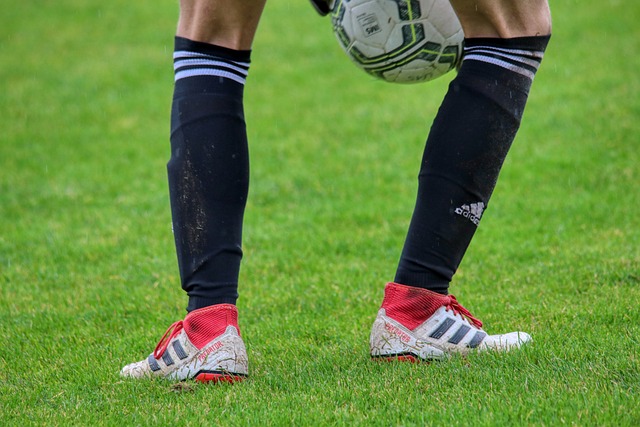 球巡回赛事 球巡回赛事