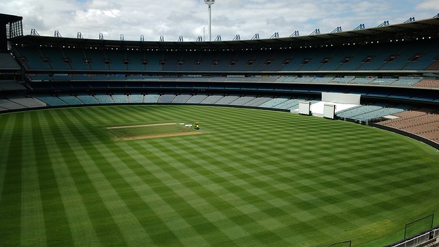 有雄厚资本 有雄厚资本