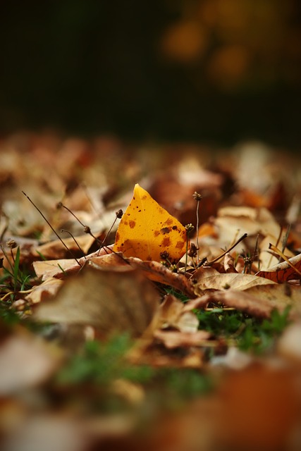 球队管理层 球队管理层
