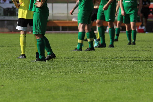 成功经验 成功经验