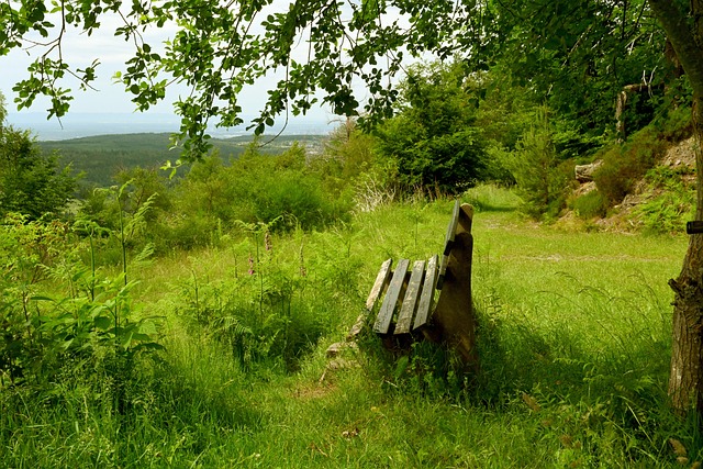 来了不小的 来了不小的