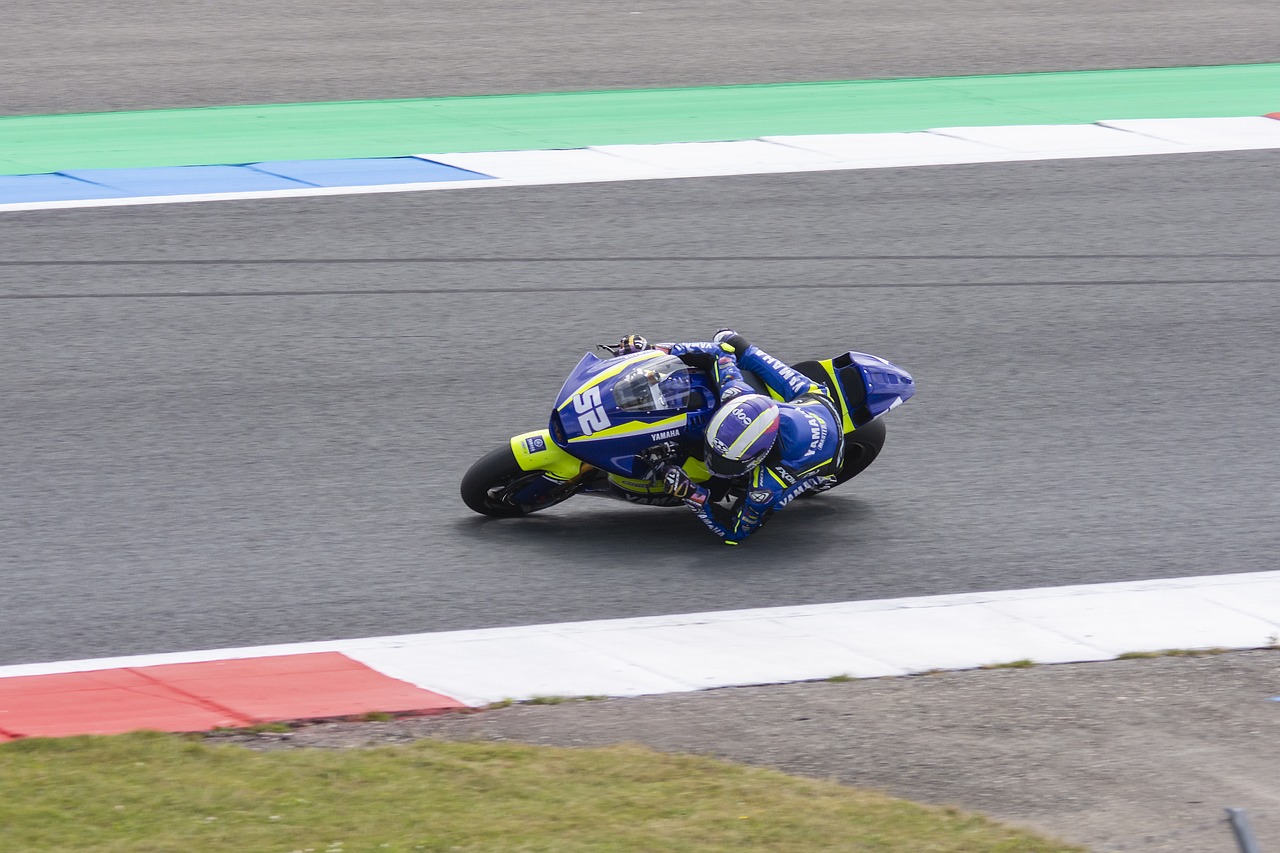 频和成绩单 频和成绩单