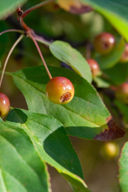 的实践路径 的实践路径