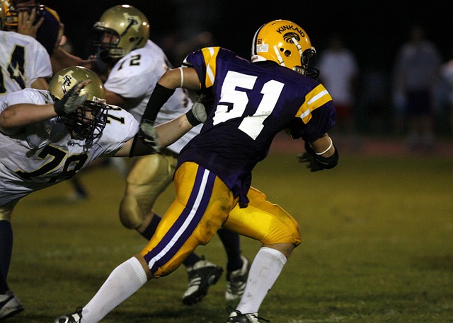 战绩辉煌的 战绩辉煌的