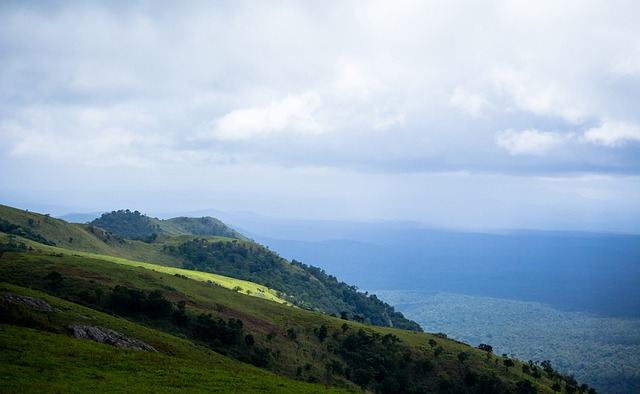 帖子内容的 帖子内容的